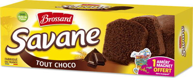 SAVANE KOLÁČ 310 čokoládový (exp.15/01/24)