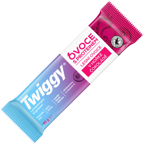 TWIGGY PROTEIN 40g lesné ovocie